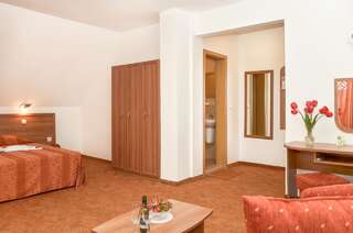 Отель Family Hotel Vega Святые Константин и Елена Двухместный номер с 2 отдельными кроватями и диваном-кроватью-7
